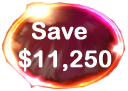 SAVE $11,250