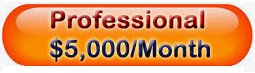 professional package price